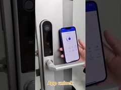 Brüt ağırlığı 2.5Kg Giriş Kapısı/Daire Kapısı/Avlu Kapısı/Otel Kapısı için Fringerprint Kapı Kilit