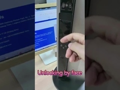 Yüz Tanıma Video Kedim Göz Akıllı kilit Palmiye Damarı Kilit Açma Çin Fabrikası