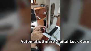 Otomatik Akıllı Dijital Kilit Çekirdek APP WiFi Bluetooth kilit açma