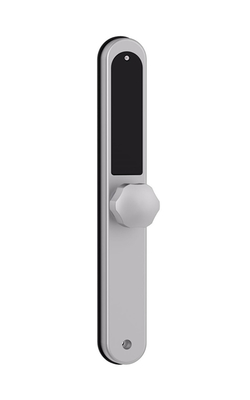 Alüminyum Çerçeve Bluetooth APP Parmak izi ile akıllı kapı kilidi