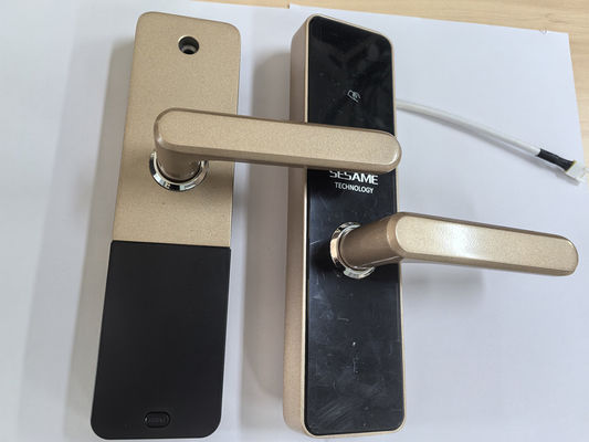Akıllı Wi-Fi ve Bluetooth Kapı Kilitleri