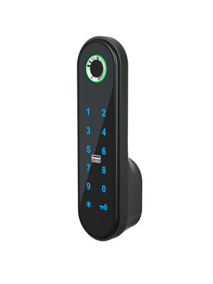 286g zarif akıllı dolap kilidi / kod APP Kart dolabı kilidi Gümüş / Siyah / Gül Altın / Altın / Özel