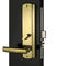 PVD Elektronik Güvenlik Kapı Kilitleri / Anahtarsız Giriş Kapı Kilitleri Ağır Görevli El