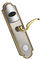 Akıllı Altın / Nikel Elektronik Kapı Kilitleri RFID Kartı Dijital Anahtarsız Kapı Kilitleri