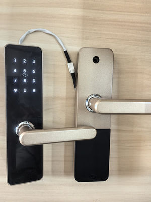 Alüminyum alaşım boyalı bitirme Bluetooth kapı kilidi Bluetooth / Wi-Fi bağlantısı ile uzaktan kumanda
