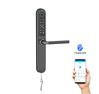 Boyalı Bitirme Akıllı Kapı Kilit Kartı / Kod / Parmak izi / APP / Bluetooth / Daireler için WiFi