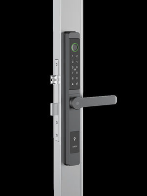Yüz tanıma / kedi gözü video / Palm Vene akıllı kapı kilidi IP65 Alüminyum