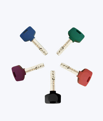 GB16796 DC 4.5V WiFi Bluetooth Anahtarlı Akıllı Kilit Çekirdek