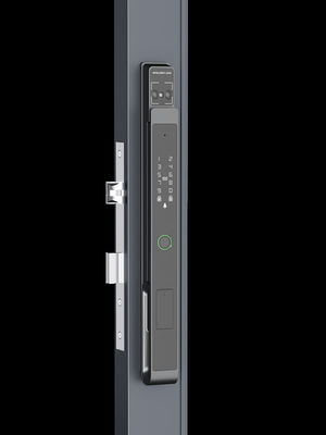 Siyah Akıllı Kapı Düğmesi Palmiye Damarı / Yüz Tanıma / Video Cat Eye IP65