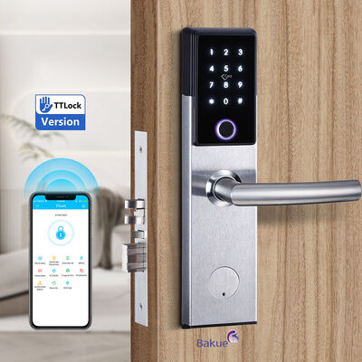 Ateşli 120min Akıllı Kapı Kilitli Boyalı Güvenli Erişim Bluetooth WiFi Kod Kartı Mekanik Anahtar Seçenekleri