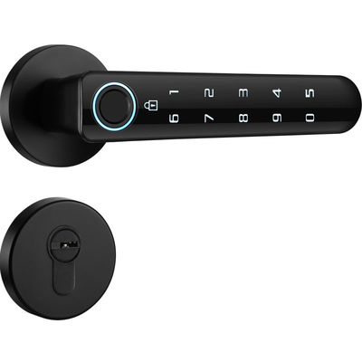 TTLock Elektronik Kod Kilitli Uzaktan Kontrol WIFI Bluetooth Kontrollü Kilitli